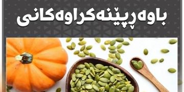 تایبەتمەندیەکانی تۆوی كودی و سووده باوەڕپێنەکراوهكانی