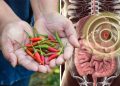 ئایا بیبەری تیژ تەندروستی گەدەمان تێکدەدات