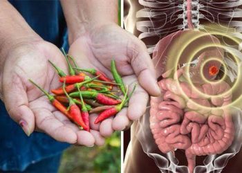 ئایا بیبەری تیژ تەندروستی گەدەمان تێکدەدات