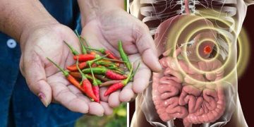 ئایا بیبەری تیژ تەندروستی گەدەمان تێکدەدات