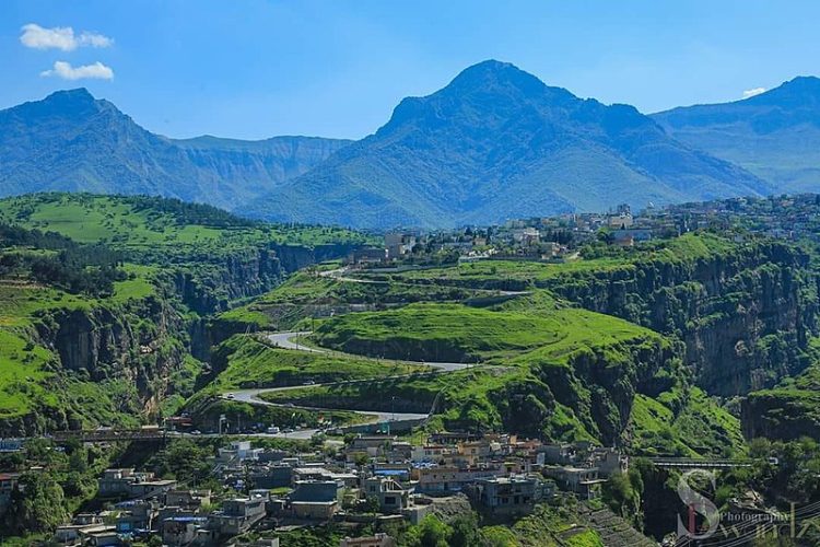 5 پاس بۆ هاندەران دابین كراون