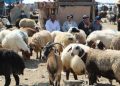 نرخی کیلۆیەک گۆشتی بەرخ بەرزبووەوە